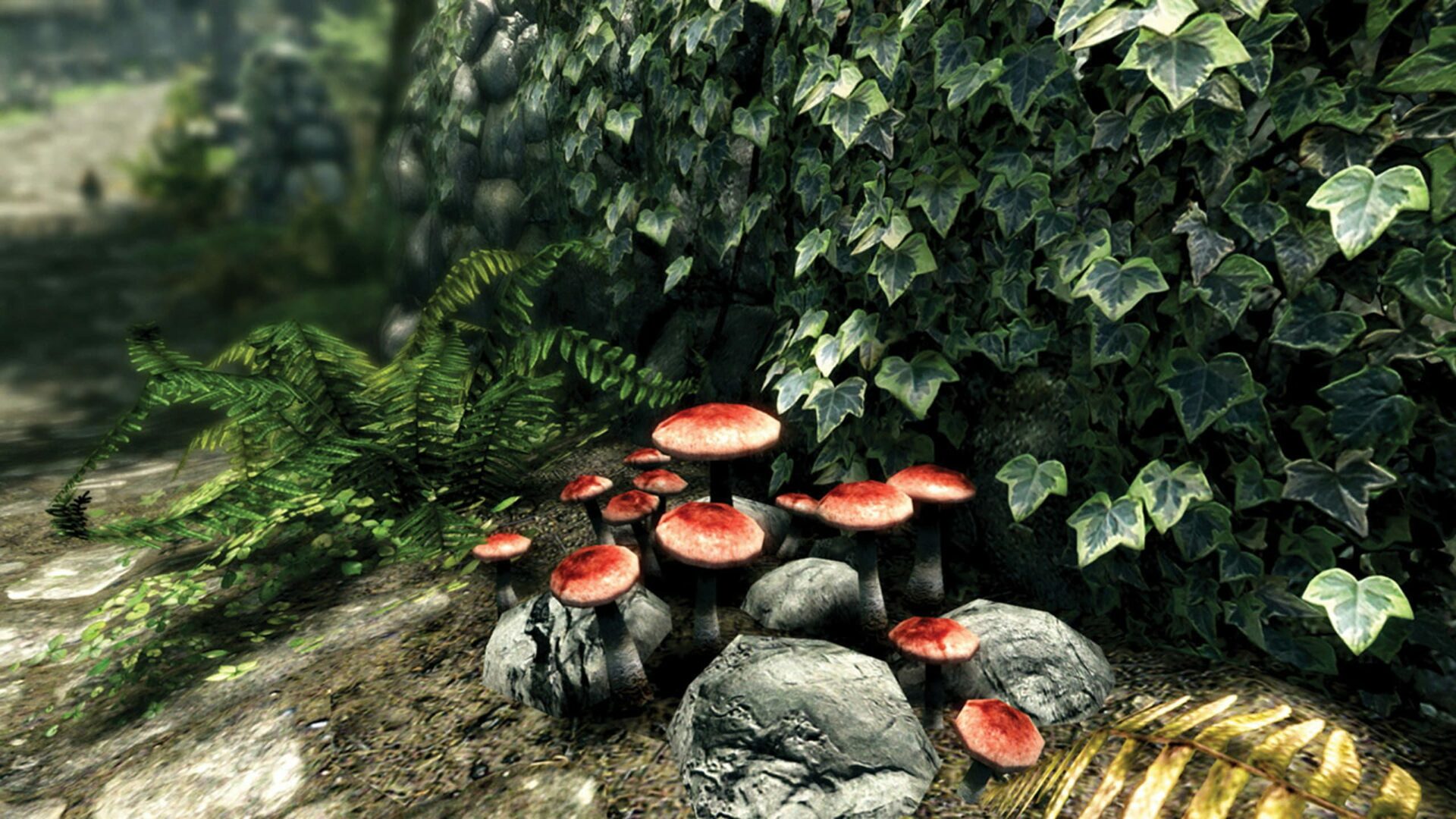 mushrooms in the forest on skyrim